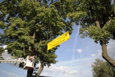 Foto des Albums: Herr Platzeck - Ausbau jetzt