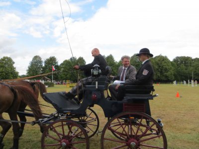 Foto des Albums: 61. Reit- und Fahrturnier in Freyenstein (24.08.2012)