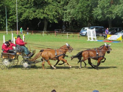 Foto des Albums: 61. Reit- und Fahrturnier in Freyenstein (24.08.2012)