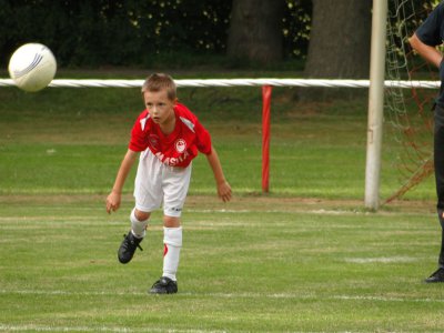 Foto des Albums: F-Junioren HSV/LSV - Birkenwerderer BC