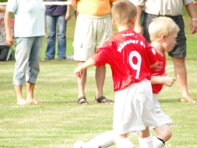 Foto des Albums: F-Junioren HSV/LSV - Birkenwerderer BC