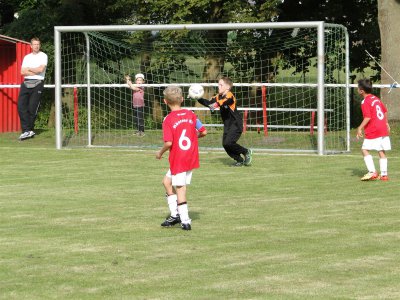 Foto des Albums: F-Junioren HSV/LSV - Birkenwerderer BC