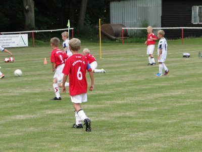 Foto des Albums: F-Junioren HSV/LSV - Birkenwerderer BC