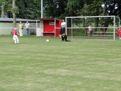 Foto des Albums: F-Junioren HSV/LSV - Birkenwerderer BC