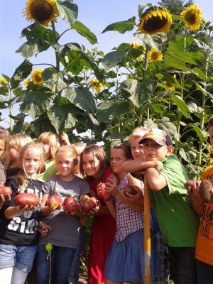 Foto des Albums: Erntezeit