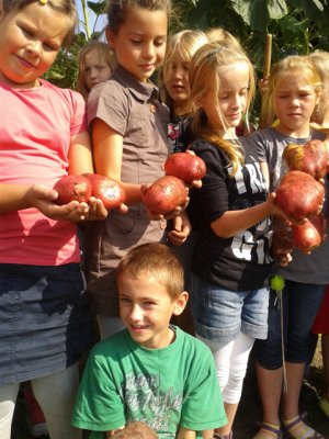 Foto des Albums: Erntezeit