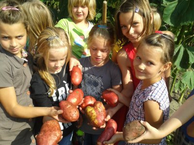 Foto des Albums: Erntezeit