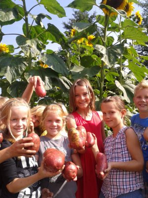 Foto des Albums: Erntezeit