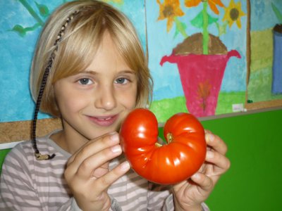 Foto des Albums: Erntezeit