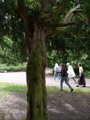 Foto des Albums: Deutscher Drechslertag 2012 in Salzwedel