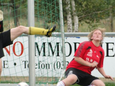 Foto des Albums: Falkenthal-HSV