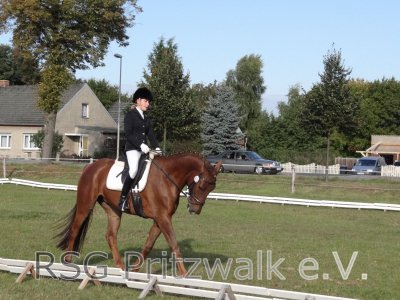 Foto des Albums: Reitertag in Weisen