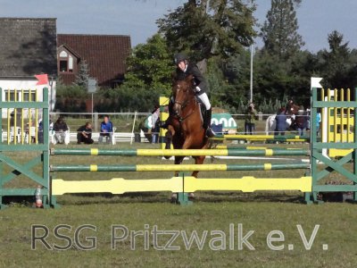Foto des Albums: Reitertag in Weisen