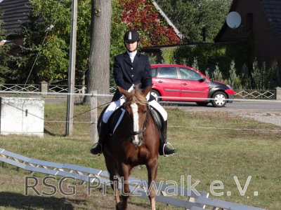 Foto des Albums: Reitertag in Weisen