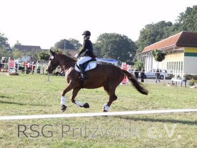 Foto des Albums: Reitertag in Weisen