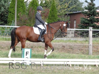 Foto des Albums: Reitertag in Weisen