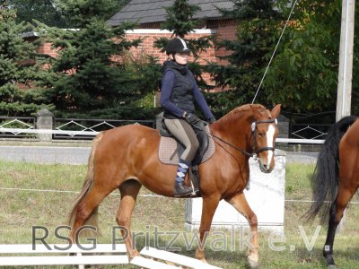 Foto des Albums: Reitertag in Weisen