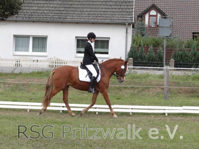 Foto des Albums: Reitertag in Weisen