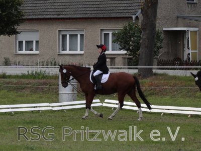 Foto des Albums: Reitertag in Weisen