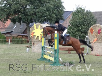Foto des Albums: Reitertag in Weisen