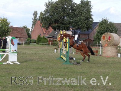 Foto des Albums: Reitertag in Weisen