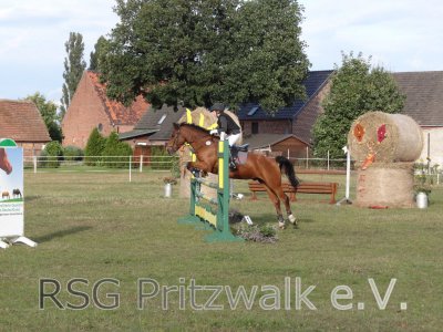 Foto des Albums: Reitertag in Weisen