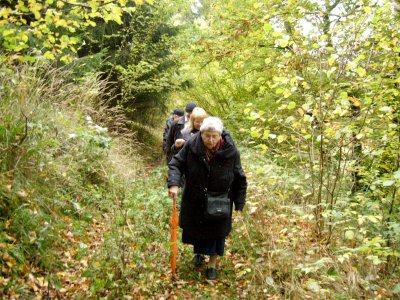 Foto des Albums: Herbstwanderung zum Hirschbüchenkopf (13. 10. 2012)