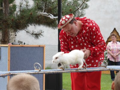 Foto des Albums: Zuckertütenfest