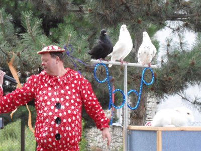 Foto des Albums: Zuckertütenfest