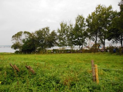 Foto des Albums: Lauftag