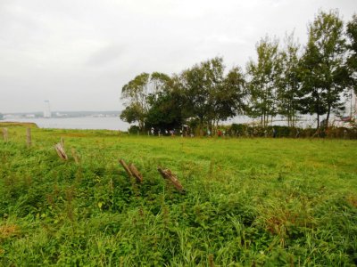 Foto des Albums: Lauftag