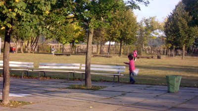 Foto des Albums: Orientierungslauf an der Grundschule in Walddrehna