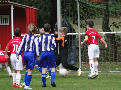 Foto des Albums: SG HSV/LSV-Fürstenberg