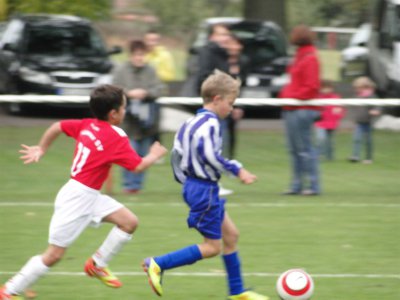 Foto des Albums: SG HSV/LSV-Fürstenberg