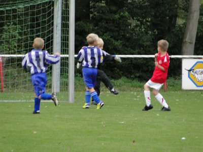 Foto des Albums: SG HSV/LSV-Fürstenberg