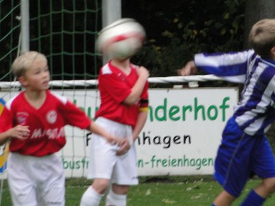 Foto des Albums: SG HSV/LSV-Fürstenberg