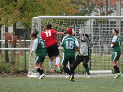 Foto des Albums: BBC-HSV