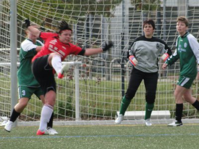 Foto des Albums: BBC-HSV