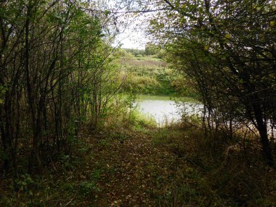 Foto des Albums: Herbstspaziergang an Kanal und Ohre (16. 10. 2012)