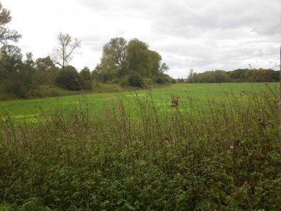 Foto des Albums: Herbstspaziergang an Kanal und Ohre (16. 10. 2012)