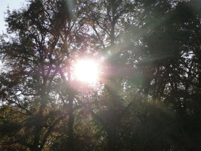 Foto des Albums: HSV-Germendorf