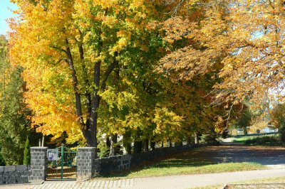 Blick zum Friedhof / Halsbacher Weg 2012 | Foto &mdash; Rainer Neuber 