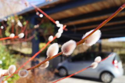 Foto &mdash; Spindler-Pietsch 