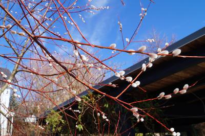 Foto &mdash; Spindler-Pietsch 