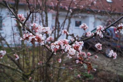 Foto &mdash; Spindler-Pietsch 