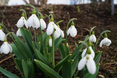 Foto &mdash; Spindler-Pietsch 