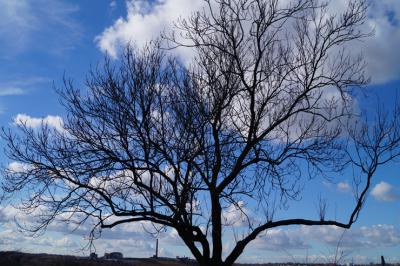 Foto &mdash; Spindler-Pietsch 