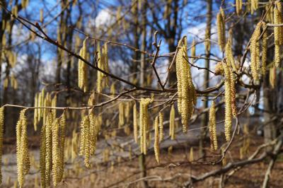 Foto &mdash; Spindler-Pietsch 