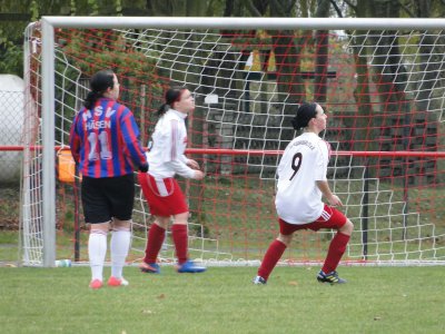 Foto des Albums: Mildenberg-HSV