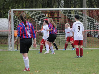 Foto des Albums: Mildenberg-HSV